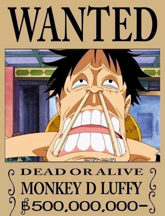 海贼王：路飞15张五亿悬赏图，看完之后笑喷！