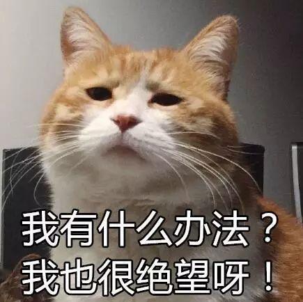 张丹峰宣布毕滢辞职,"捕峰捉滢"真的结束了吗?