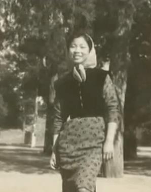 林徽因变成绿茶婊,都是她搞的鬼