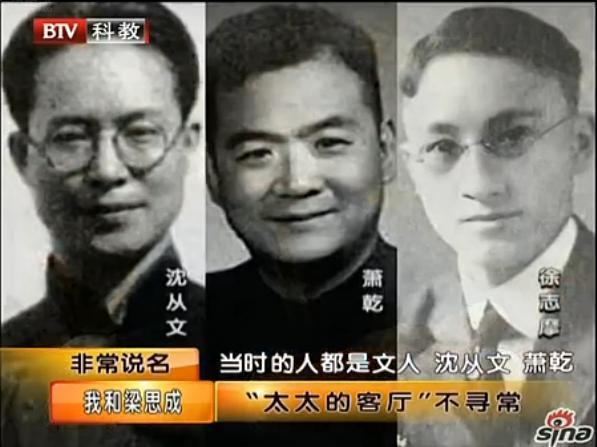 林徽因变成绿茶婊,都是她搞的鬼