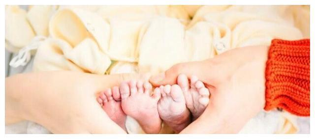 张杰谢娜双胞胎女儿正脸照首曝光!网友像谢娜多一点……