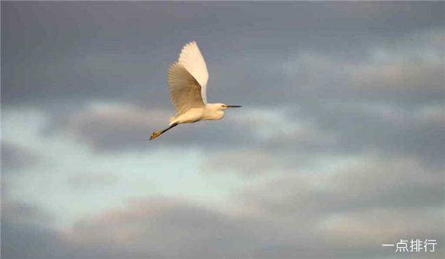 埃弗格莱兹国家公园