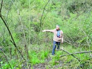 60岁大爷山上血战野猪三小时,昏迷三次,被咬醒三次!