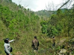 60岁大爷山上血战野猪三小时,昏迷三次,被咬醒三次!