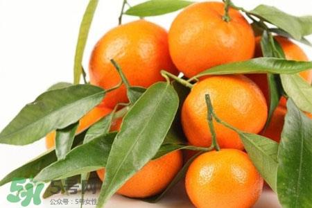 宝宝可以吃冰糖橘吗?宝宝吃冰糖橘上火吗? 宝宝可以吃冰糖橘吗?宝宝吃冰糖橘上火吗?