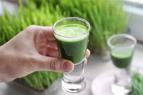 道田青汁能减肥吗 道田青汁效果怎么样 道田青汁能减肥吗 道田青汁效果怎么样