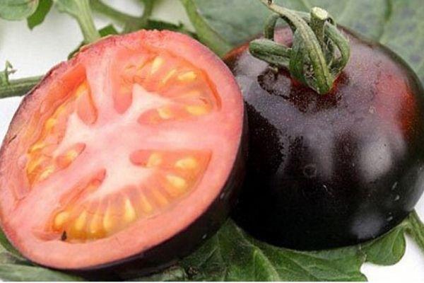 黑番茄可以怎么吃呢 吃黑番茄有什么注意的呢 黑番茄可以怎么吃呢 吃黑番茄有什么注意的呢
