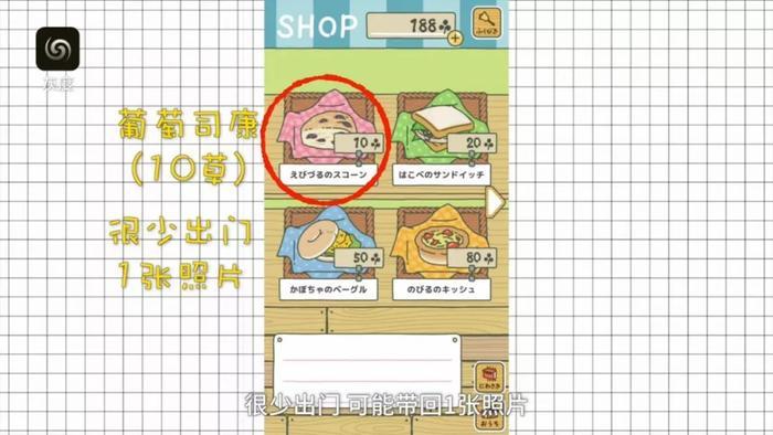 旅行青蛙史上最全攻略,200秒教你速成世上最好蛙妈