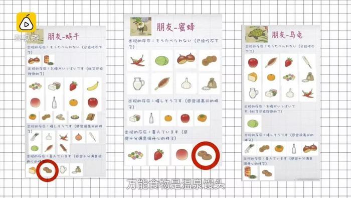 旅行青蛙史上最全攻略,200秒教你速成世上最好蛙妈