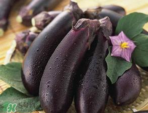 茄子怎么挑选?如何挑选茄子? 茄子怎么挑选?如何挑选茄子?