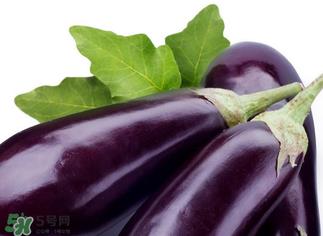 茄子怎么挑选?如何挑选茄子? 茄子怎么挑选?如何挑选茄子?