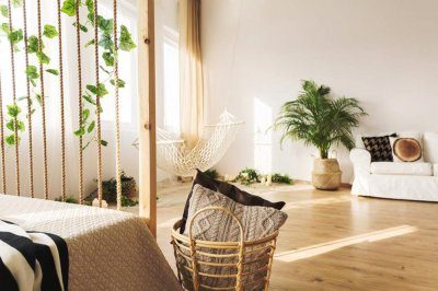 ​千鸟花的养殖方法和注意事项