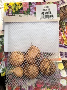 ​唐菖蒲怎么繁殖