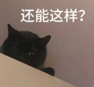 姐你…身边就没个敢说实话的人?