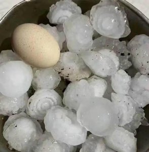 昨夜,山东14市遭遇冰雹袭击!最大宛如鸡蛋,果园受灾严重