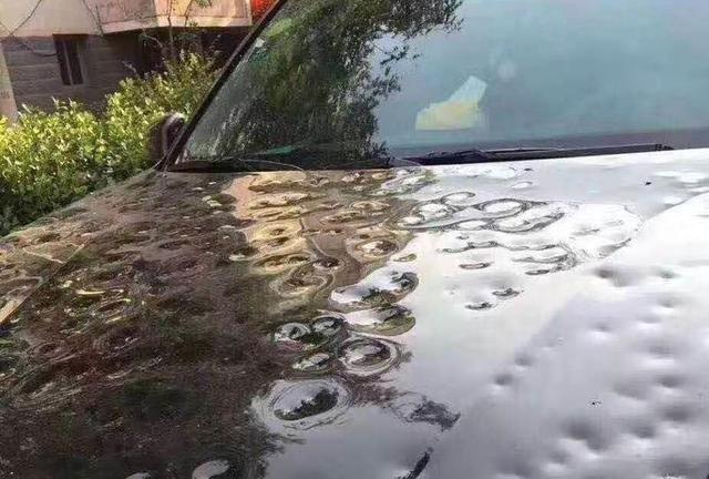 昨夜,山东14市遭遇冰雹袭击!最大宛如鸡蛋,果园受灾严重