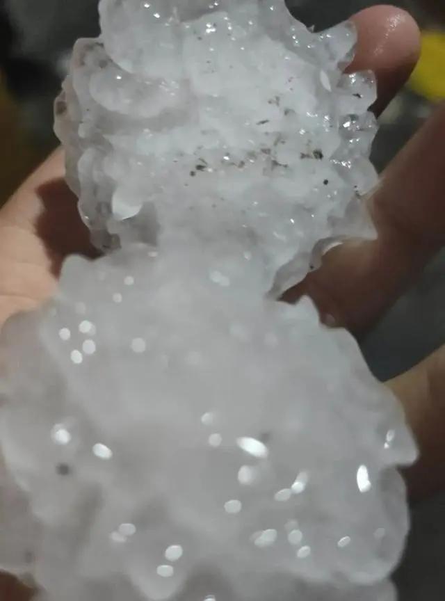 昨夜,山东14市遭遇冰雹袭击!最大宛如鸡蛋,果园受灾严重