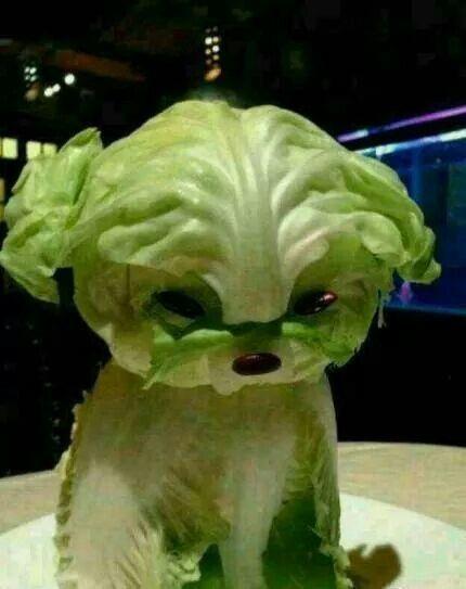 儿童水果画拼盘大全:好玩,好吃!宝宝说:“我妈会做可多了”!