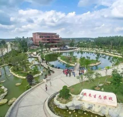 广大最土豪的小村子,100个人中就有一个千万富翁