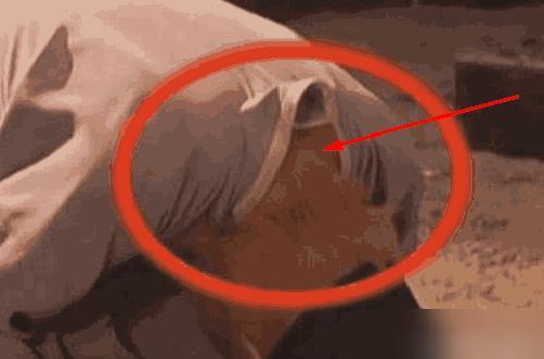 徒手撕鬼子我尼玛,最后还得发一个大招啊