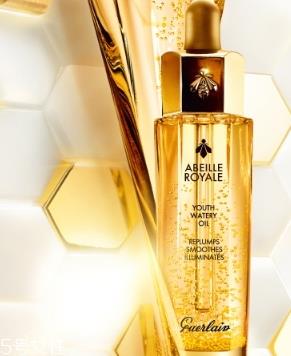 娇兰黄金复原蜜和雅诗兰黛小棕瓶哪个好？