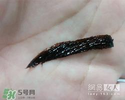 眉胶是什么？眉胶好用吗