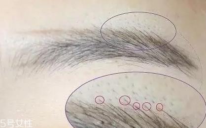 自然不做作的毛流眉怎么画？纹理清晰有弧度