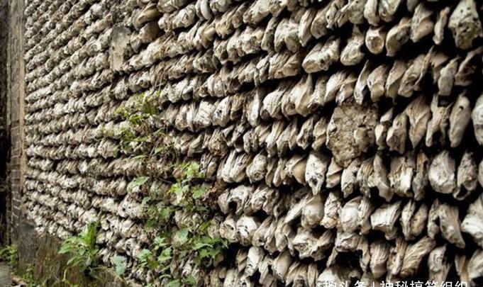 我国最特殊的墙,用生蚝壳做成,600年仍完好,被称为“蚝宅”