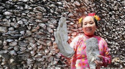 我国最特殊的墙,用生蚝壳做成,600年仍完好,被称为“蚝宅”