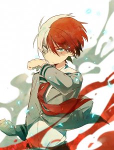 《我的英雄学院》美图之操纵怒火与寒冰的少年——轰焦冻