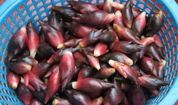 小时候吃阳荷吃到腻,山上到处都是,如今几十元一斤城里人抢着要