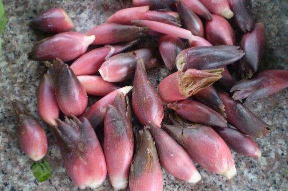 小时候吃阳荷吃到腻,山上到处都是,如今几十元一斤城里人抢着要