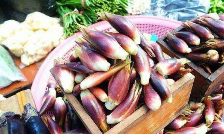 小时候吃阳荷吃到腻,山上到处都是,如今几十元一斤城里人抢着要