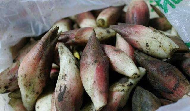 小时候吃阳荷吃到腻,山上到处都是,如今几十元一斤城里人抢着要