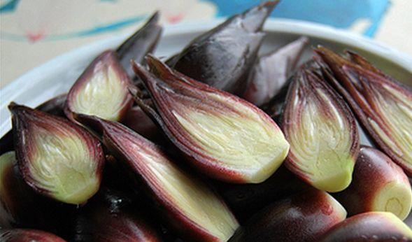 小时候吃阳荷吃到腻,山上到处都是,如今几十元一斤城里人抢着要