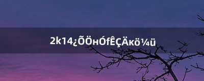 ​2k14空中接力是哪个键（2k14扣篮要按哪个键)