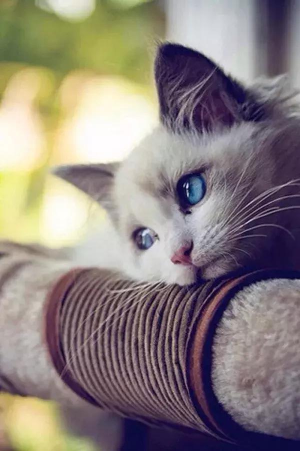 小清新唯美图片女生伤感