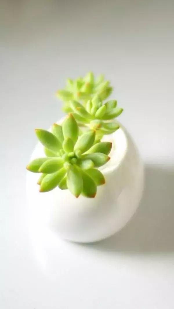 小清新唯美图片女生伤感