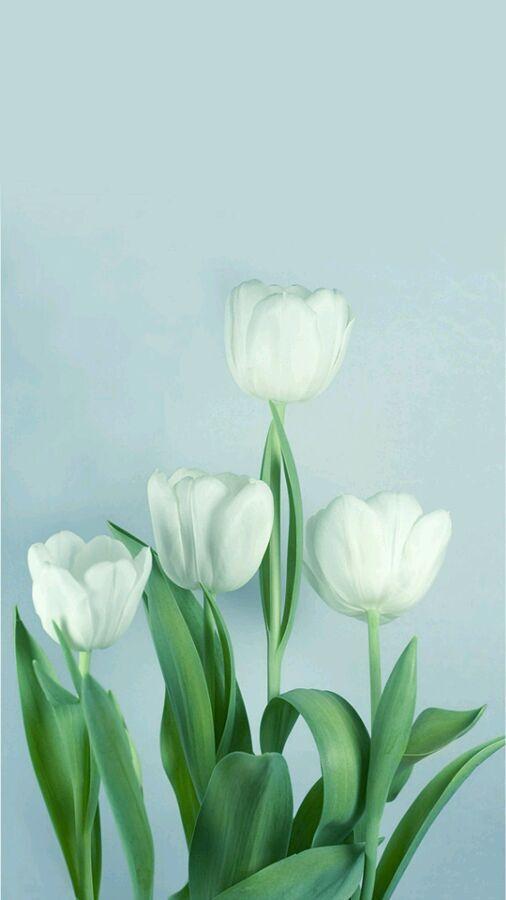 情感美文:想要好的感情,就要学会适可而止