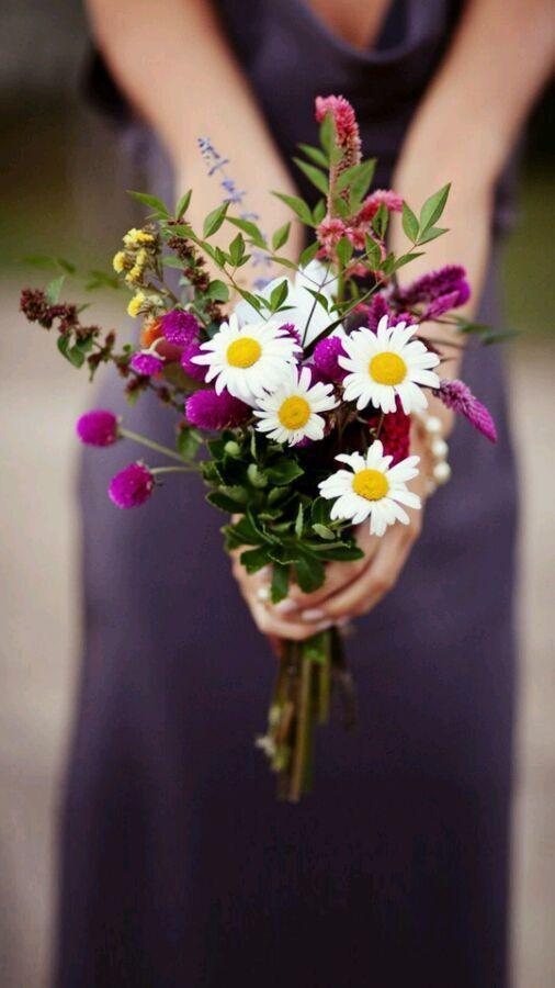 情感美文:想要好的感情,就要学会适可而止