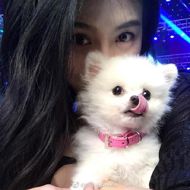 撕掉“小小花”标签,许龄月《择天记》展人格魅力