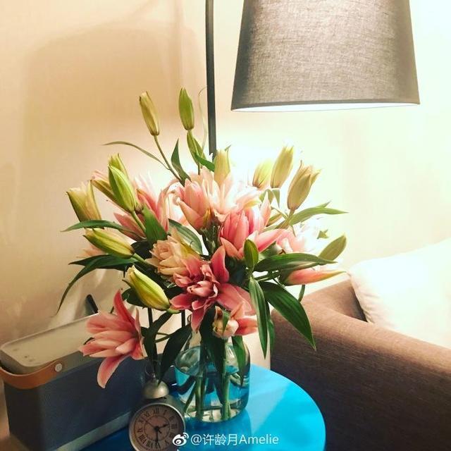 撕掉“小小花”标签,许龄月《择天记》展人格魅力