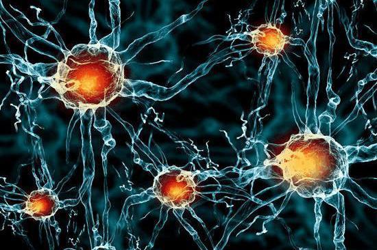 有没有可能宇宙是一个人,星球为细胞?