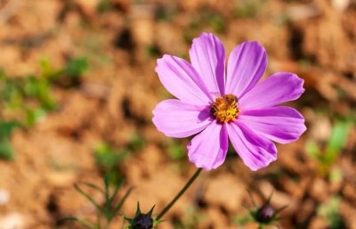 ​做人的底线，就7句