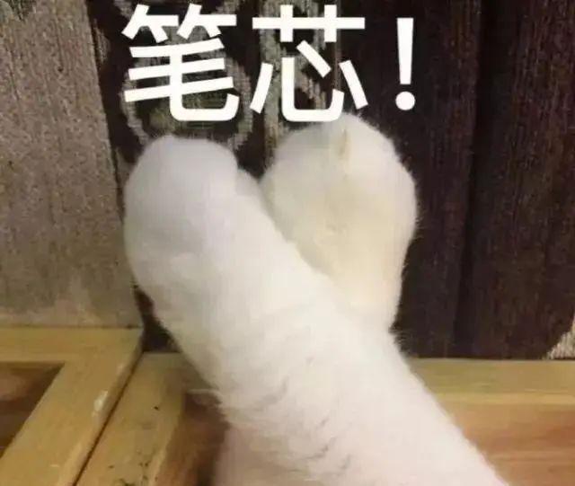 超全超详细！西宁到青海各地公里数