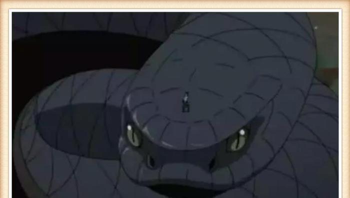 火影:龙地洞最强4条蛇,图三当挡箭牌,图四被吊锤