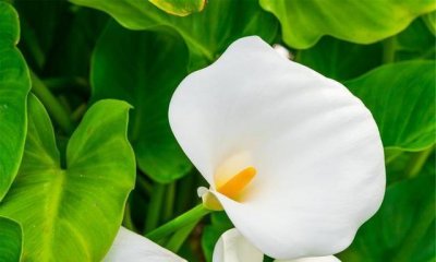 “福祸无门,惟人自召”:做到这五点,福气不请自来