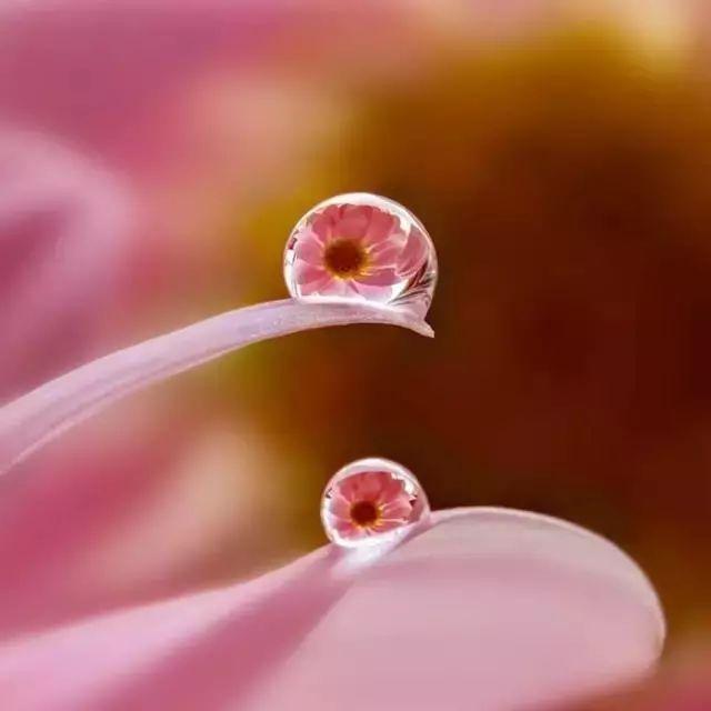 早读丨致十月：愿岁月无波澜，敬余生不悲欢