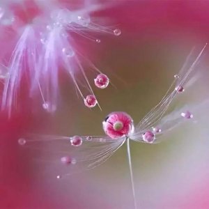 早读丨致十月:愿岁月无波澜,敬余生不悲欢