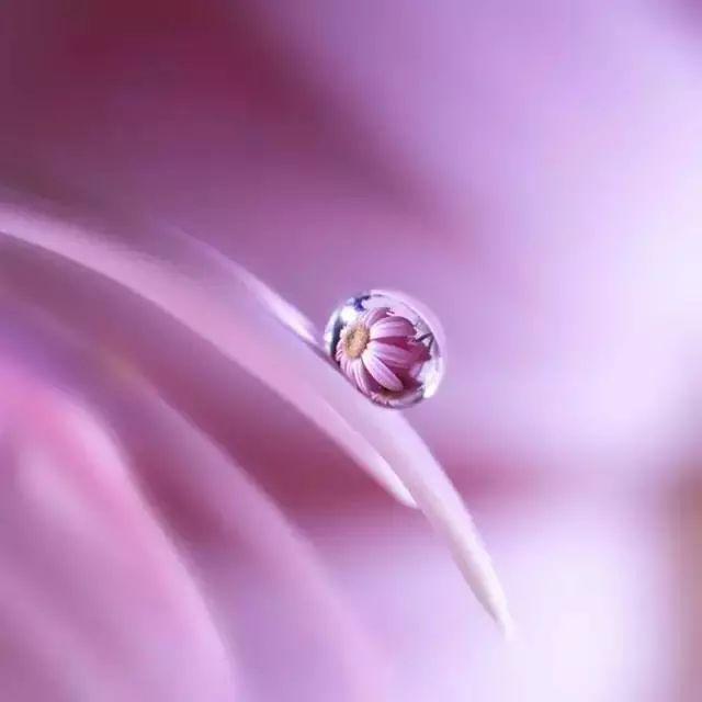 早读丨致十月：愿岁月无波澜，敬余生不悲欢